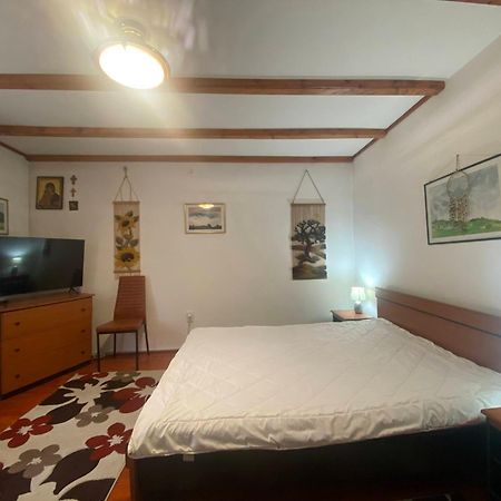 Vila Mara Busteni Bagian luar foto