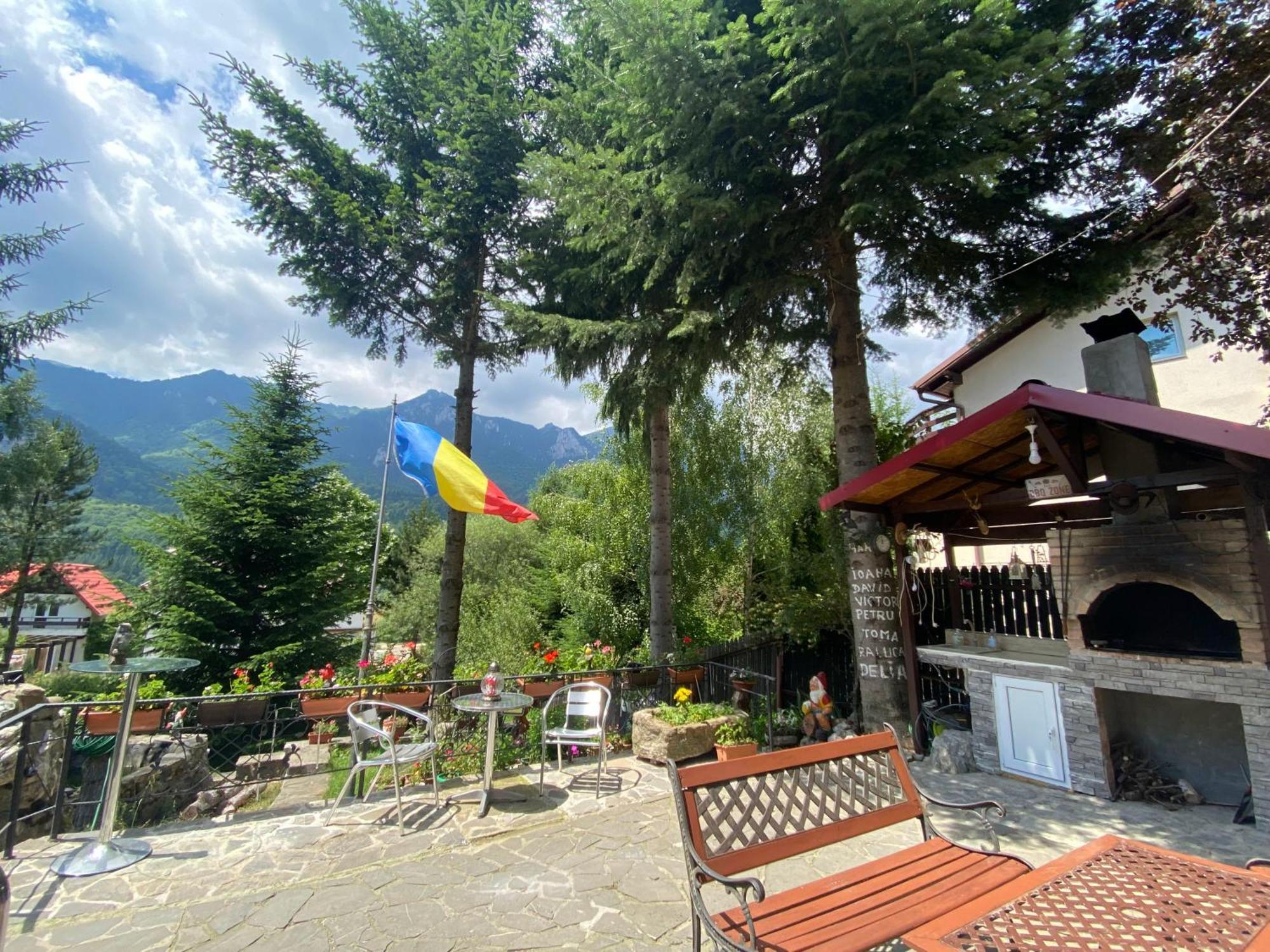 Vila Mara Busteni Bagian luar foto