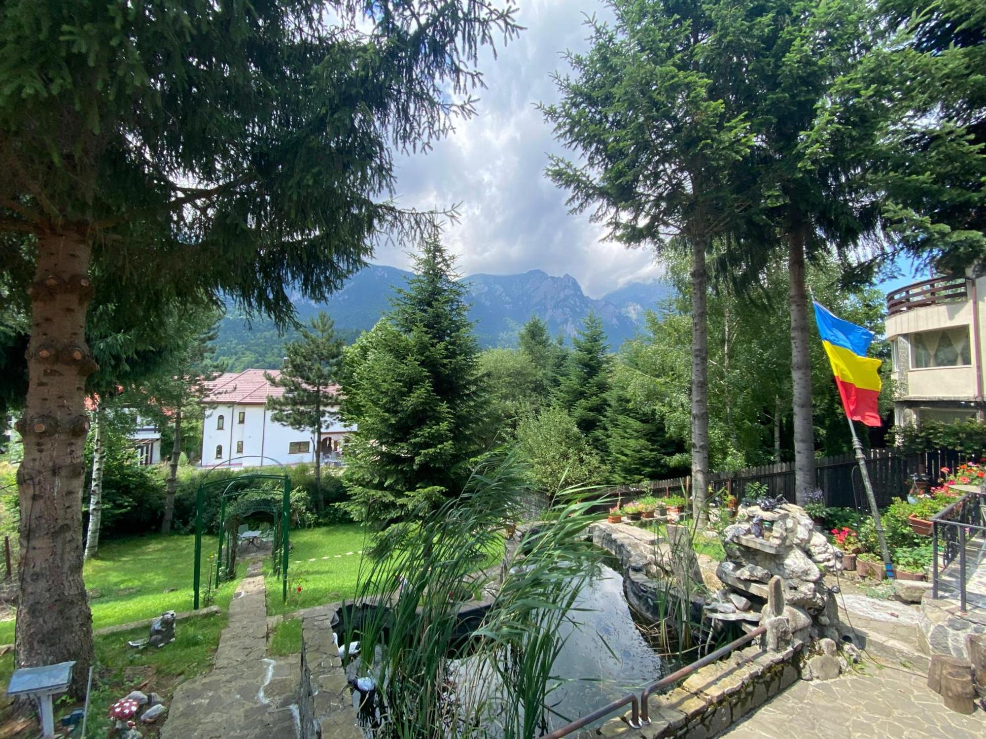 Vila Mara Busteni Bagian luar foto